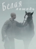 Белая лошадь