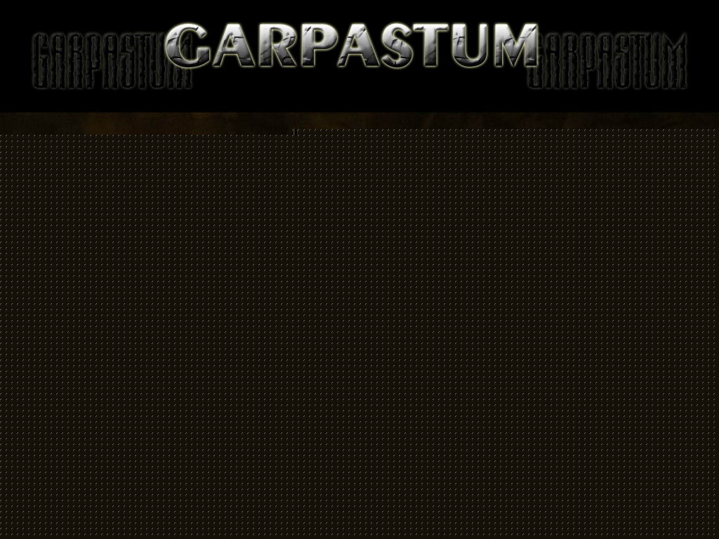  / Garpastum___     -     / Garpastum      